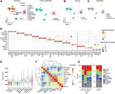 Identification of Transcriptional Heterogeneity and Construction of a Prognostic Model for Melanoma Based on Single-Cell and Bulk Transcriptome Analysis